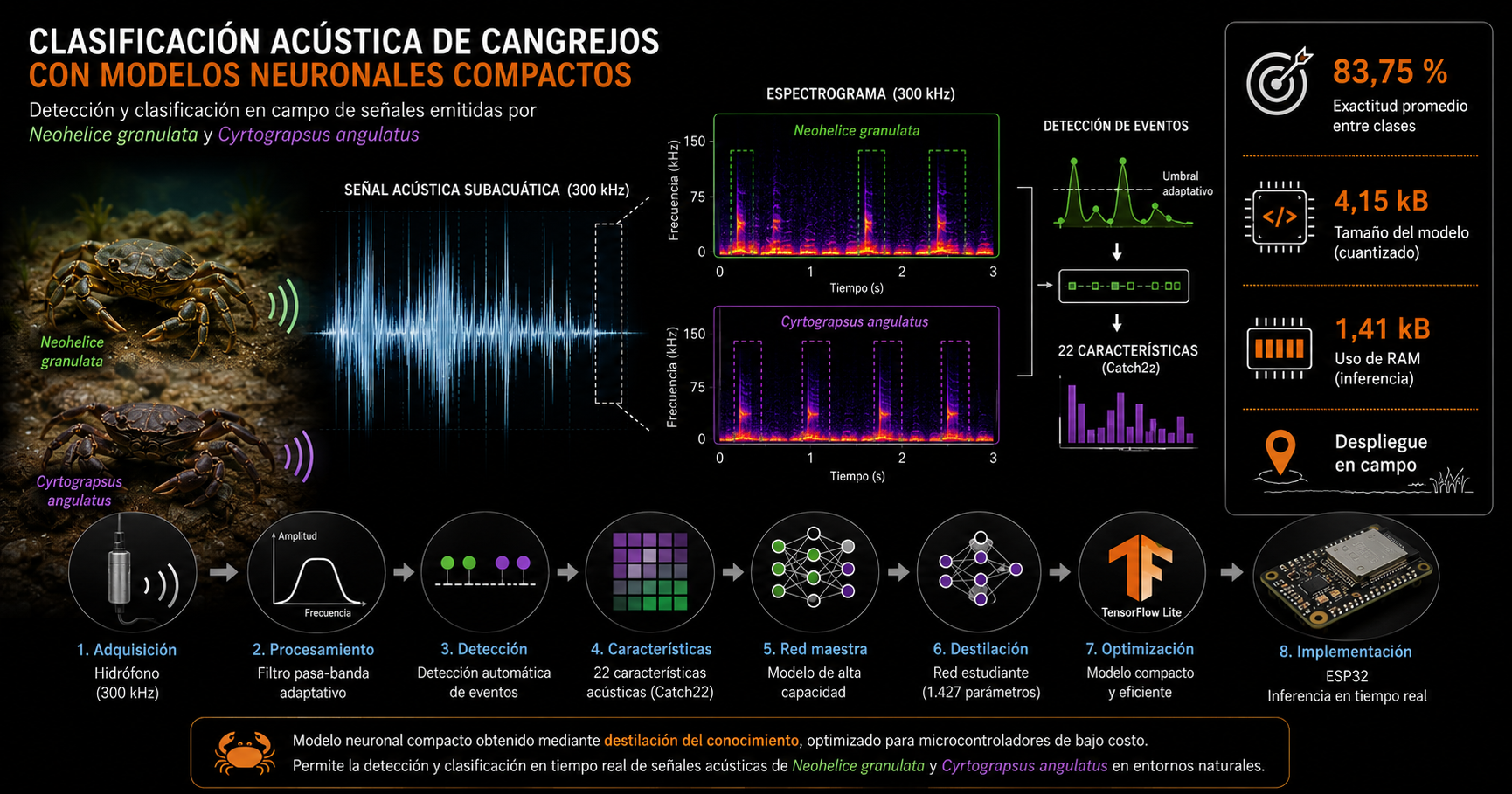 Resumen gráfico